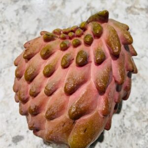 Atemoya