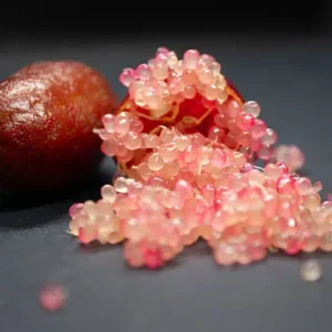 Fingerlime